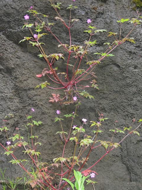 Eagle Creek-103.JPG - Eagle Creek